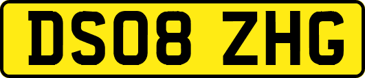 DS08ZHG