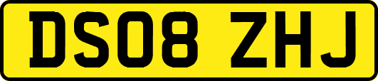 DS08ZHJ