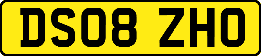 DS08ZHO