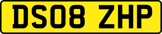 DS08ZHP