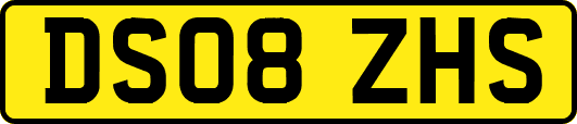 DS08ZHS