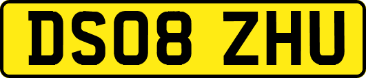 DS08ZHU