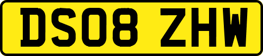 DS08ZHW