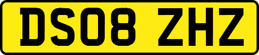 DS08ZHZ