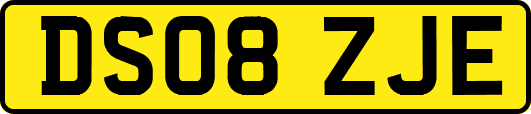 DS08ZJE