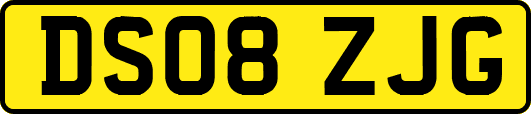 DS08ZJG