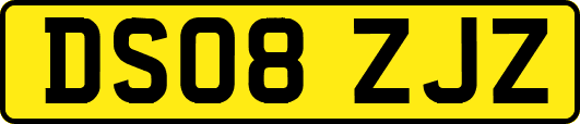 DS08ZJZ