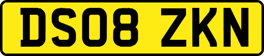 DS08ZKN