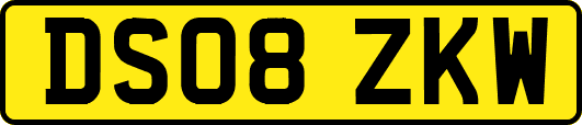 DS08ZKW