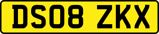 DS08ZKX