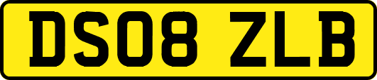 DS08ZLB