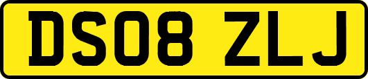 DS08ZLJ