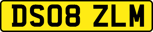 DS08ZLM