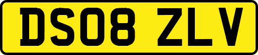 DS08ZLV