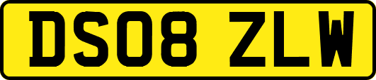 DS08ZLW