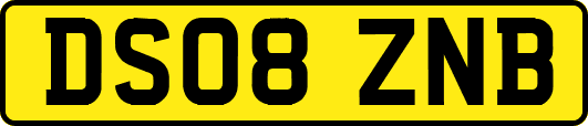 DS08ZNB