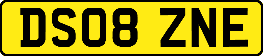DS08ZNE