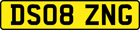 DS08ZNG