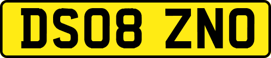 DS08ZNO