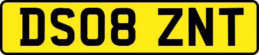 DS08ZNT
