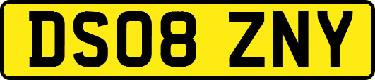 DS08ZNY