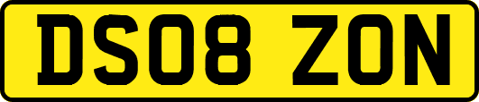 DS08ZON