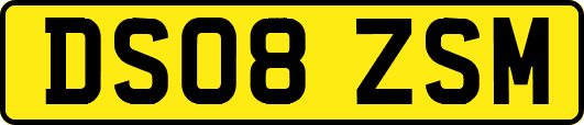 DS08ZSM