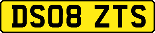 DS08ZTS