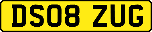 DS08ZUG