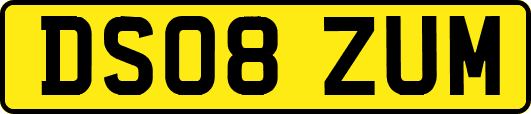 DS08ZUM