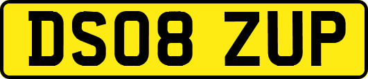 DS08ZUP