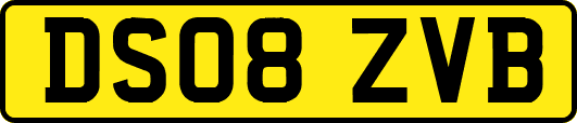 DS08ZVB