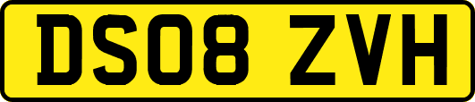 DS08ZVH