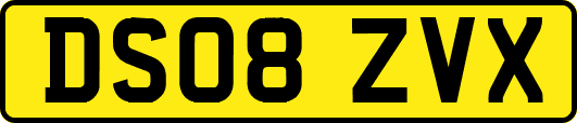 DS08ZVX