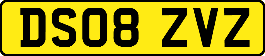 DS08ZVZ