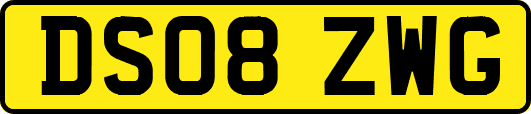 DS08ZWG