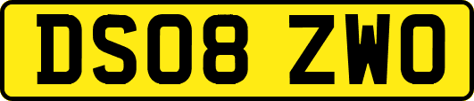 DS08ZWO