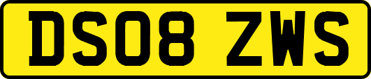 DS08ZWS