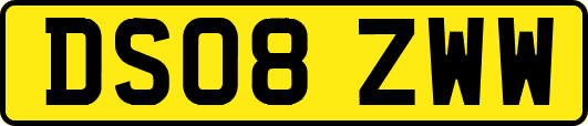 DS08ZWW