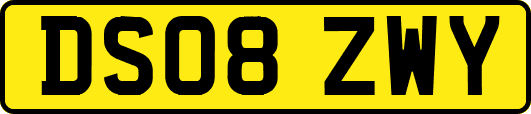 DS08ZWY