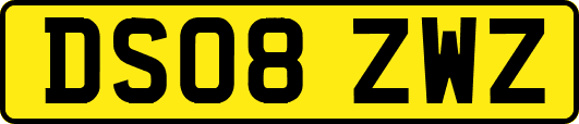 DS08ZWZ