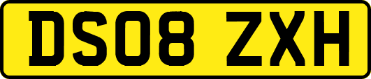 DS08ZXH