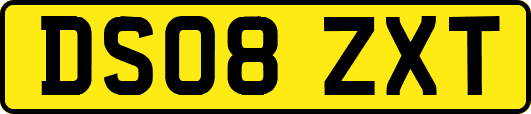 DS08ZXT