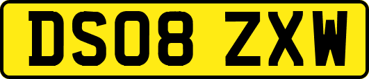 DS08ZXW