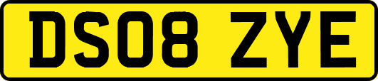 DS08ZYE