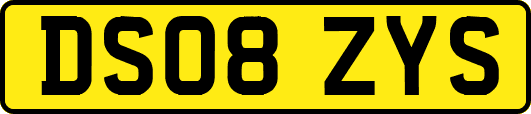 DS08ZYS