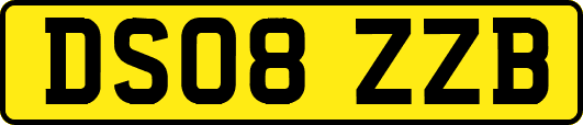DS08ZZB