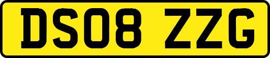 DS08ZZG