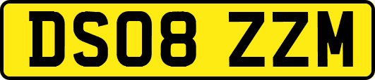DS08ZZM