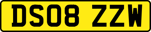DS08ZZW